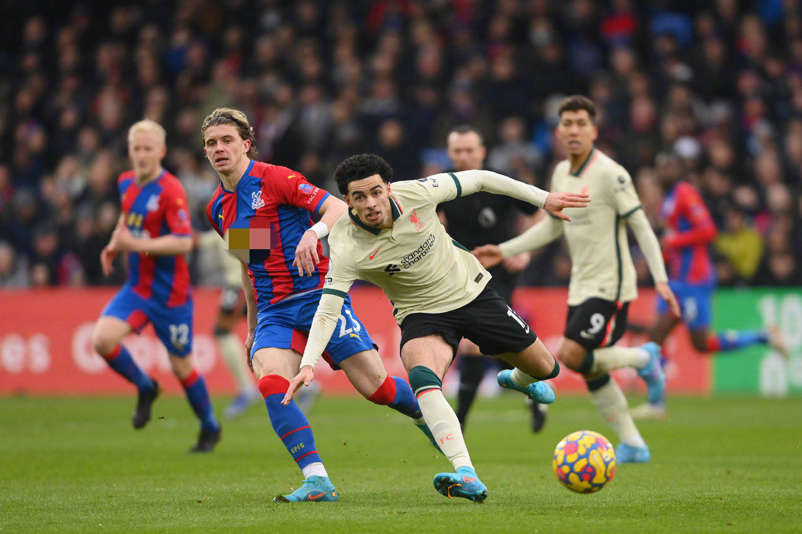 這是所有球 這是所有球